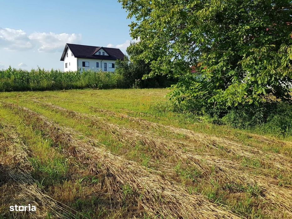 Teren intravilan – Adunatii Copaceni | 3.399 mp | Ideal investitie