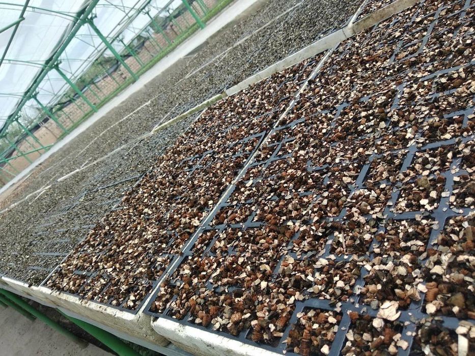 Вермикулит разные цены, разные фракции, цена договорное