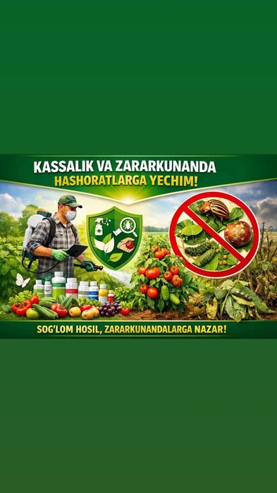 Archa va daraxtlarni davolash