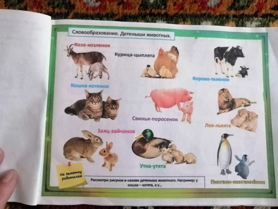 Развивающие материалы