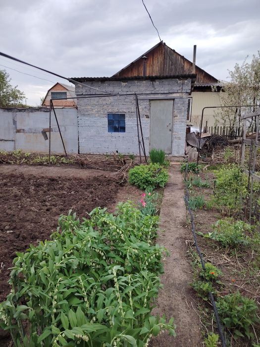 Продажа дача летний вариант