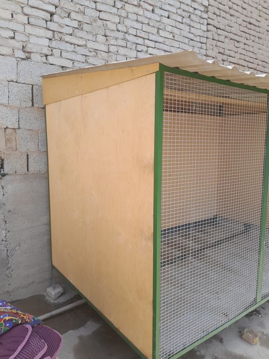 Mushuk va Qafas sotiladi