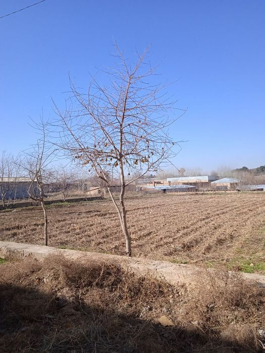 7.5 sotiq yer sotiladi