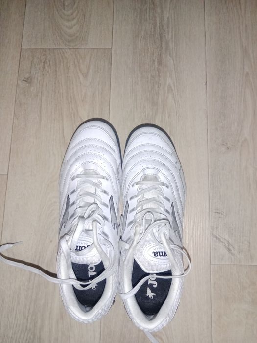 Сороконожки  новые