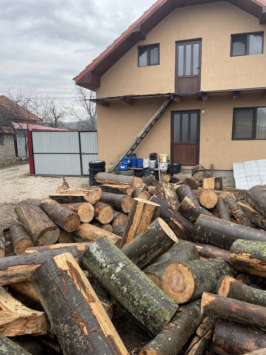 Lemne de foc de cea mai bună calitate
