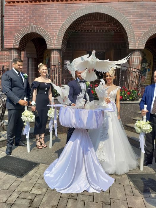 Lansări de porumbei la evenimente