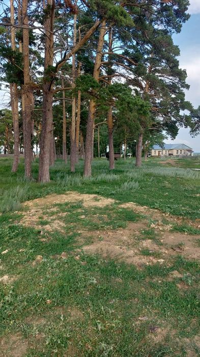 Продам участок 50 соток