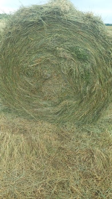 Продам сено 350-370кг