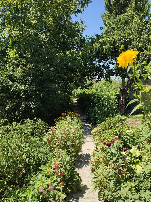 Срочно Продаётся Дом