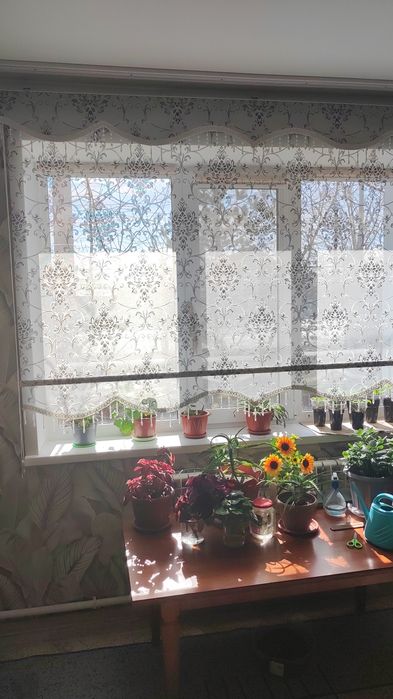 Продам дом мкр Западный