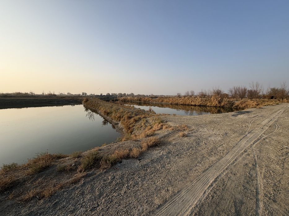 Бог,Баликхона сотилади.Молхона килса хам булади,Хамма шароити бор.