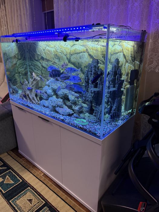 Аквариум на 420 литров .