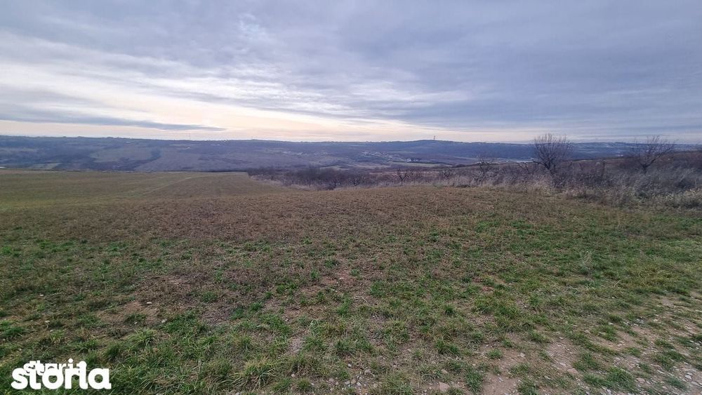 Teren de vânzare Paleu