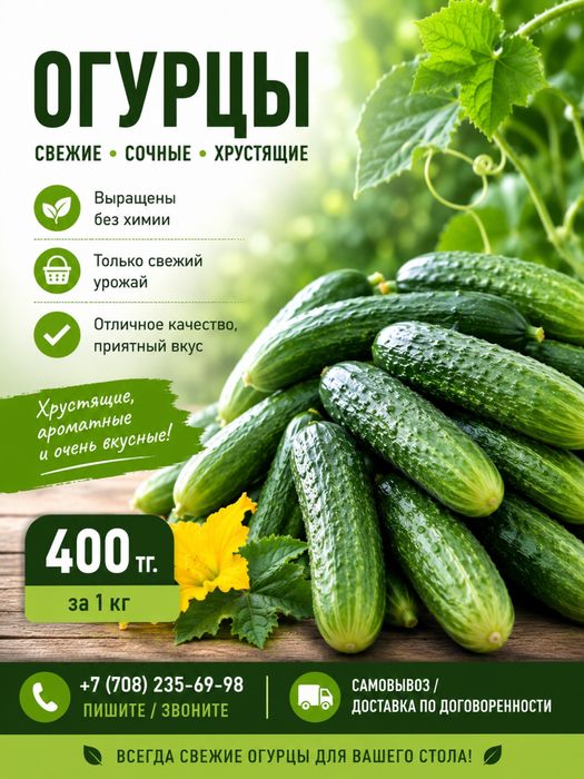 Домашние огурцы 400тг.