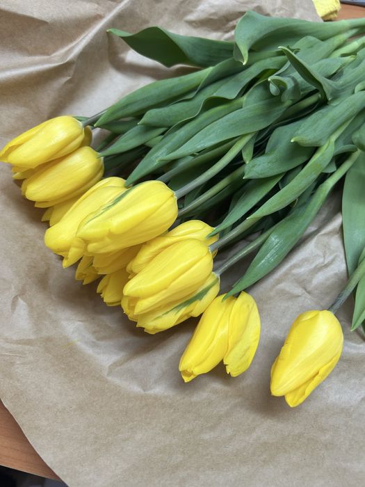 Тюльпаны предзаказ на 8 марта