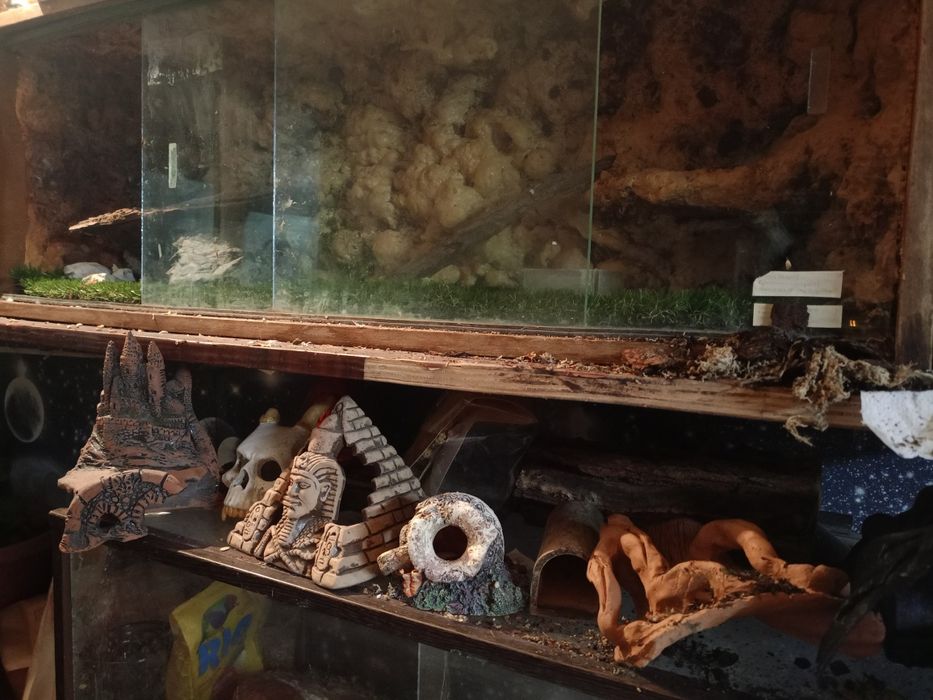 Декор аквариумный