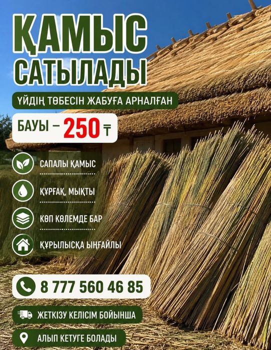 Қамыс бау қамыс бау