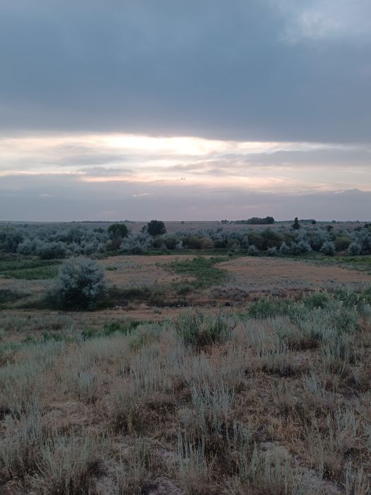 Сдам в аренду земельный участок под КХ