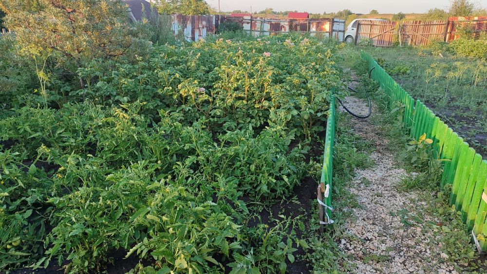 продам дачу вишенка