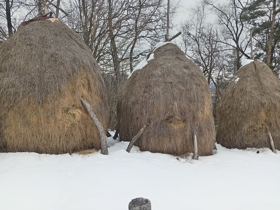 Vînd  Fîn mărunt pentru oi nepoluat și bine uscat!