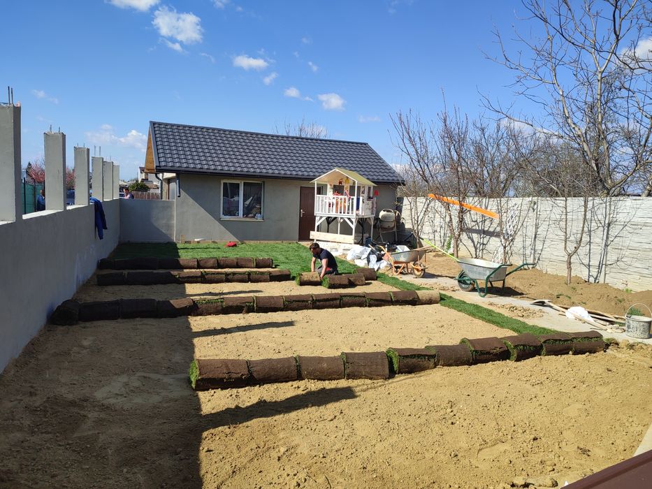 Gazon rulou de trafic 24 de lei m2.Transport și montaj inclus în preț