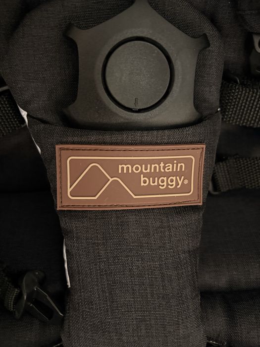 Коляска Mountain Buggy Cosmopolitan 2.0