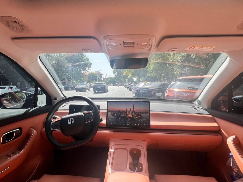 Такси водитель, Li 9 и Leapmotor C16 в горы и вес Узбекистан