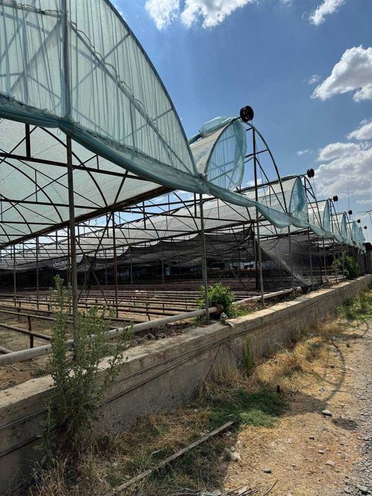 Иссикхона сотилади