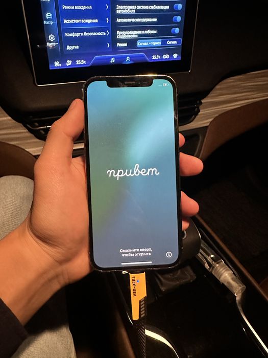 iPhone 12 Pro Чистый