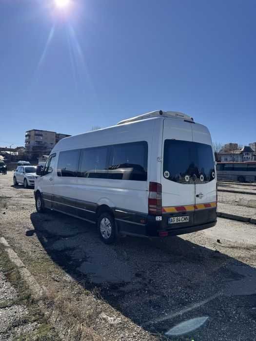 Vand Sprinter 16 + 1 locuri