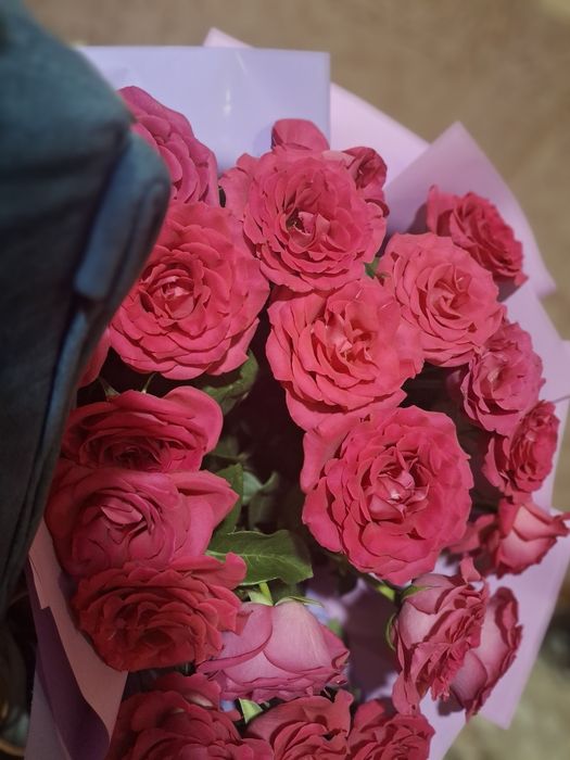 Продаю цветы 23 штуки