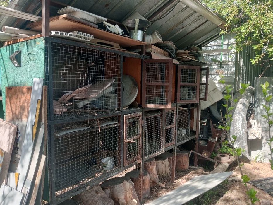 Клетки для кроликов