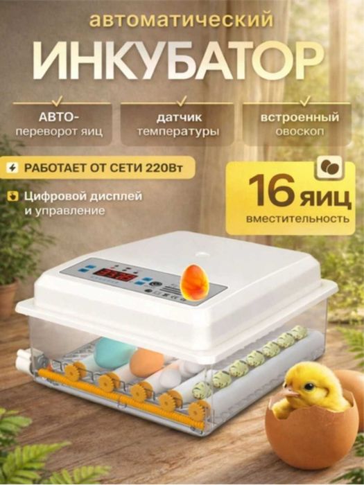 16talik avtomatik burilishli tuxum inkubatori harorat termoregulyatori