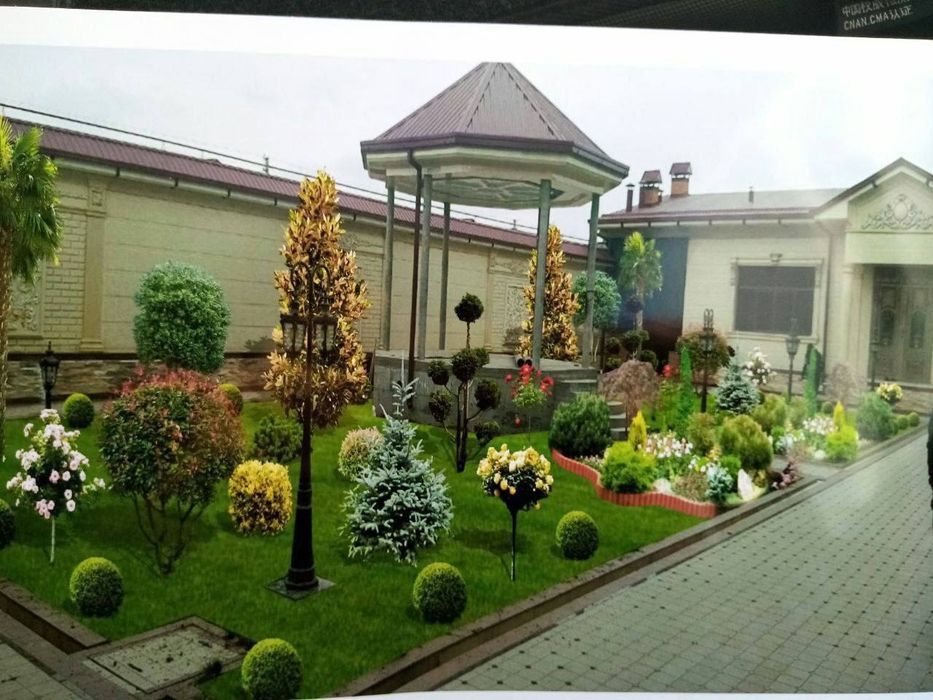 Посев и укладка газона | Gazon ekish va yotqizish hizmati