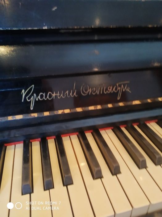 Пиянина арзон нархда