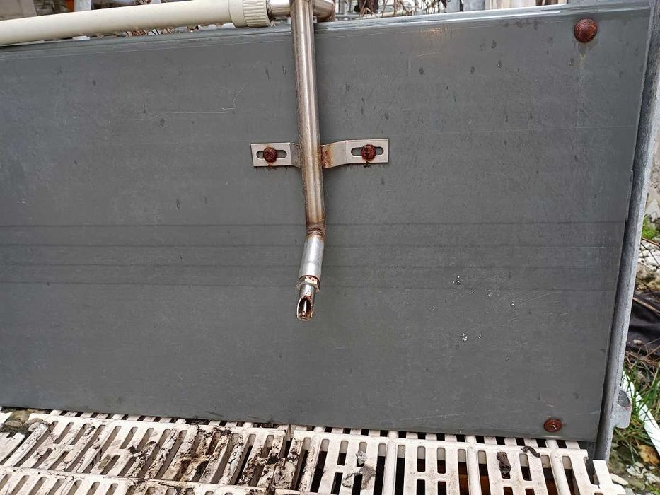 Повдигнат бокс свине майки лактиращи/млекарски/ - раждане и бозайници.