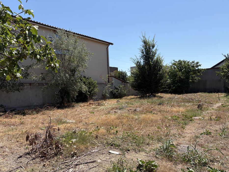 Teren 500 mp kamsas / baba novac / primo / compozitori