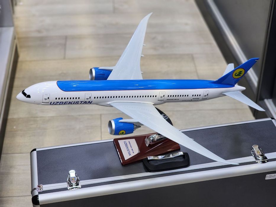 Самолёт Boeing 787 с чемоданом