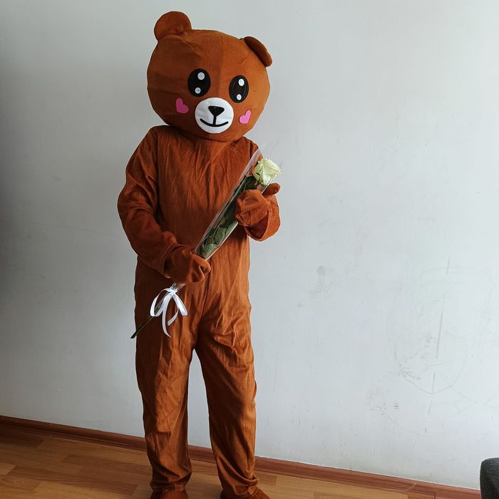 Костюмы ростовых медведя, лягушки