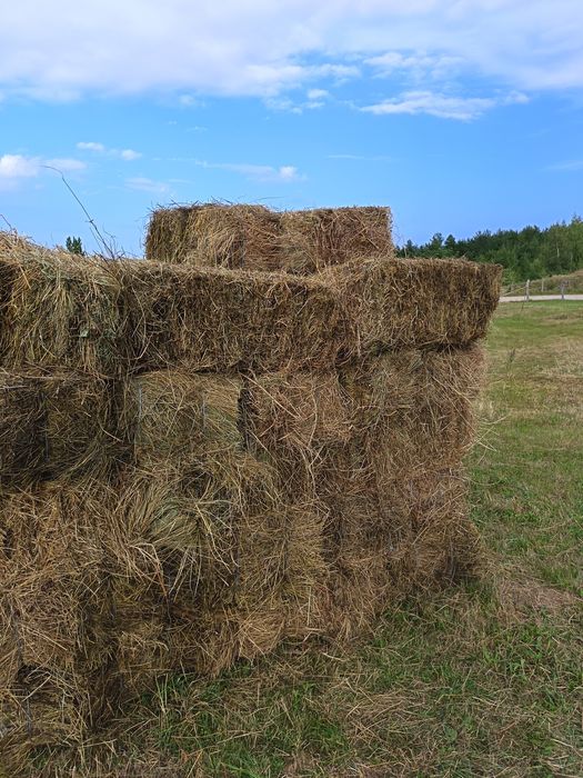 Baloți fân munte