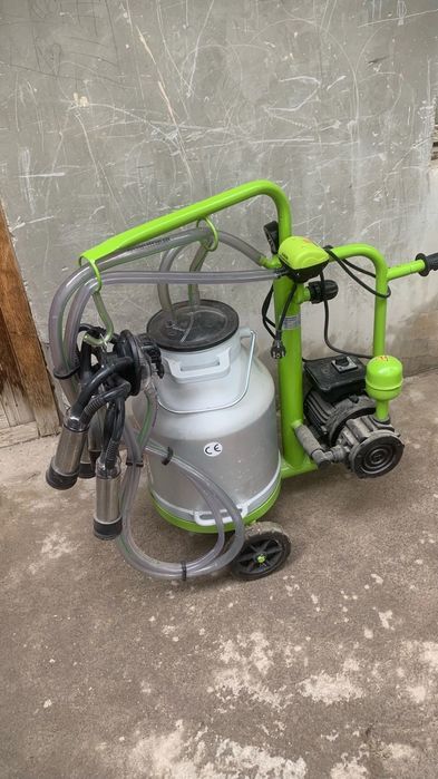 Oshxonada katta porno