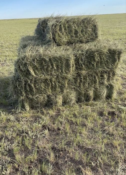 Продам сено тюки разнотравие