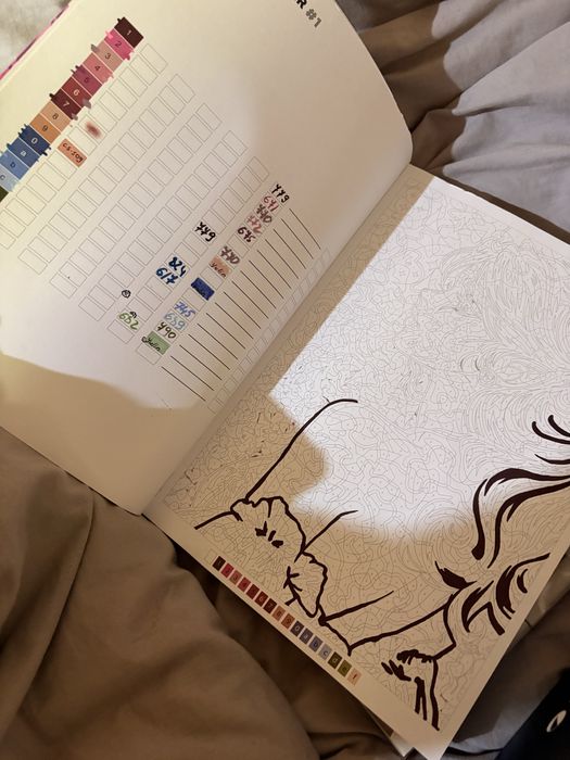 Акриловые Маркеры GUANGNA LANQUO и раскраскм