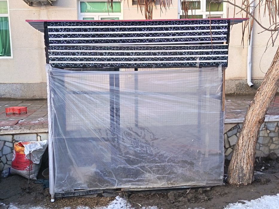 Хонаки товуклар сотилади