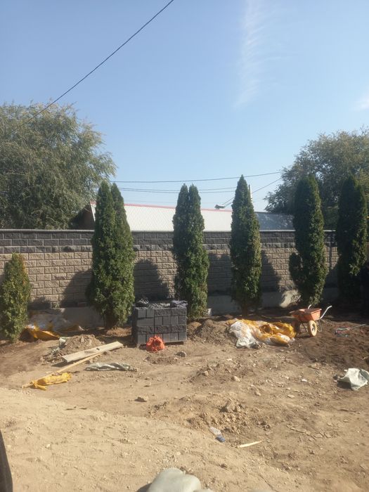 Посадка, пересадка растений.