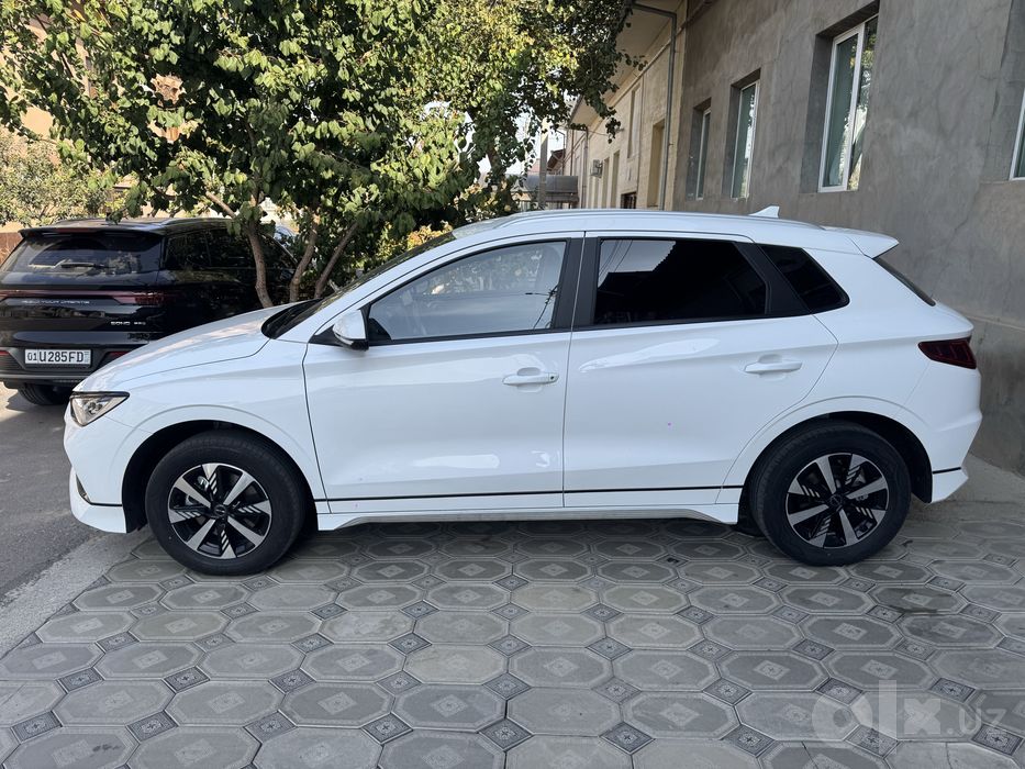Byd E2 luxury 2023