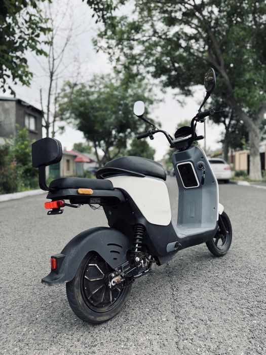 Scuter Electric 500W