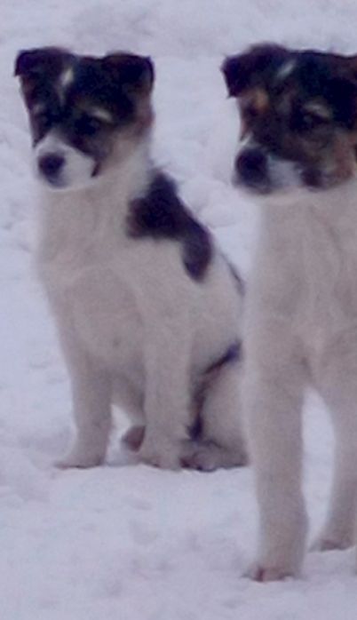 Мы хотим стать частью Вашей семьи)