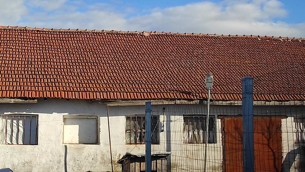 Керемиди около 500-600 броя