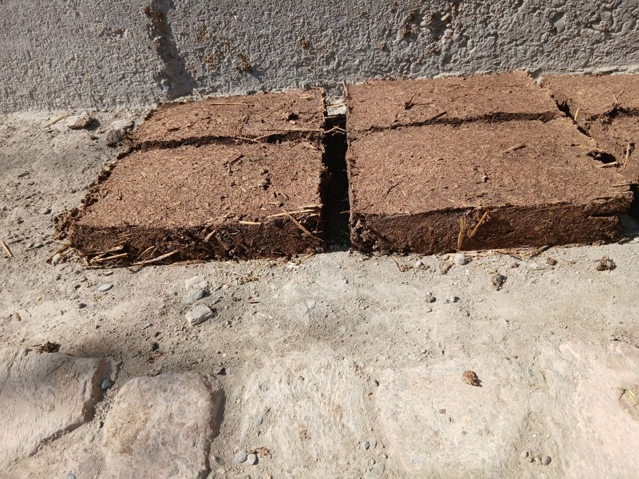 Tappi sotiladi .